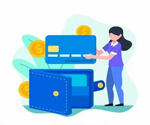 You can use PayPal, Visa, MasterCard to pay ...